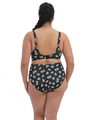 Elomi Plain sailing ES7275 brief