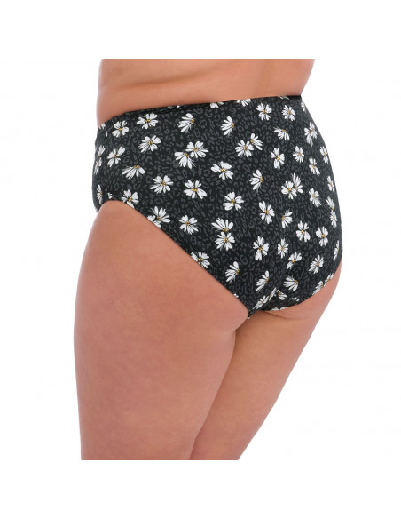 Elomi Plain sailing ES7275 brief