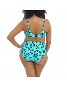 Elomi Kotiya ES800973 Full brief 2