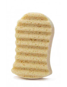 Saponi Soft sponge 2