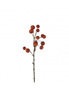 Mr Plant 3866-01 Äppelkvist