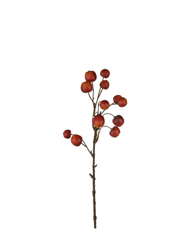 Mr Plant 3866-01 Äppelkvist