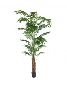 Mr Plant 7149-270 Areca Palm