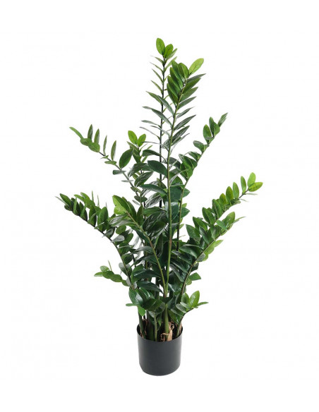Mr Plant 7107-130 Zamifolia