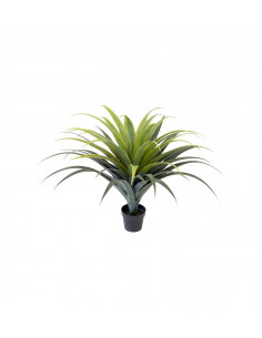 Mr Plant 7329-110 Agave