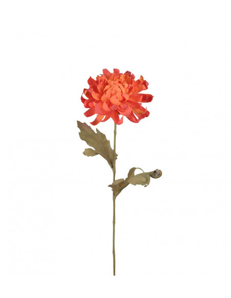 Mr Plant 3203-35 Chrysanthemum