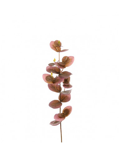 Mr Plant 1437-40 Eucalyptus