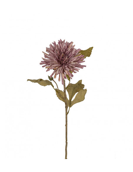 Mr Plant 3618-40 Chrysanthemum