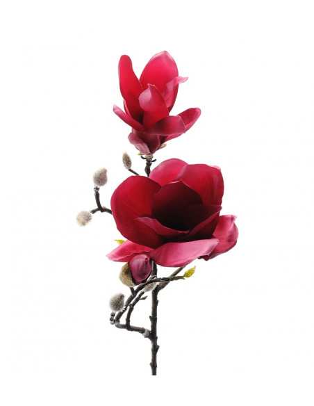 Mr Plant 6173-22 Magnolia