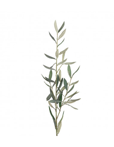 Mr Plant 2189-90 Olivkvist