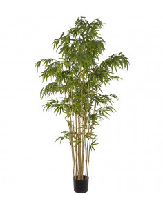 Mr Plant 7322-210 Bambu