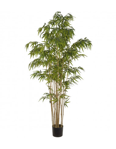 Mr Plant 7322-210 Bambu
