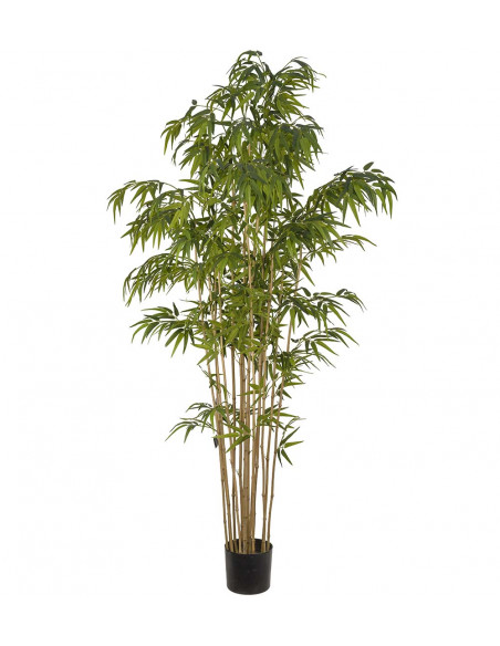 Mr Plant 7322-210 Bambu