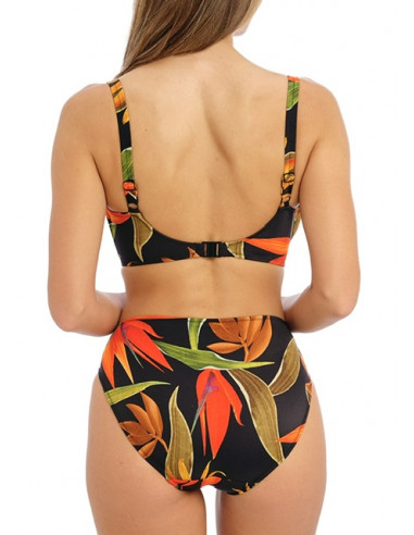 Fantasie PICHOLA  FS503901