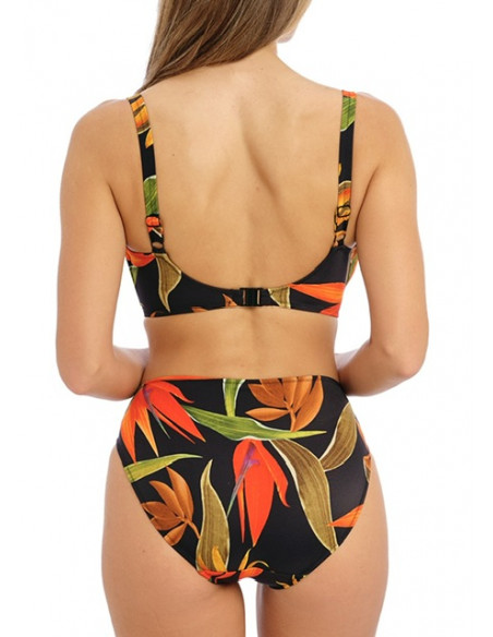 Fantasie PICHOLA  FS503901