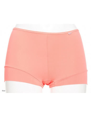 Avet Boxer 3844