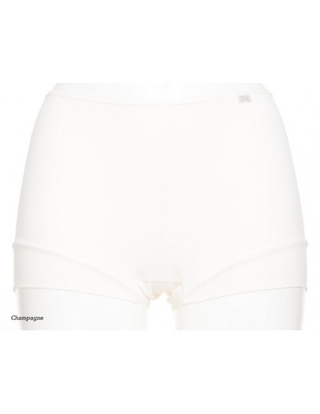 Avet Boxer 3844