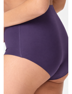 Lingadore 1400HWB-1 High waist brief- grape