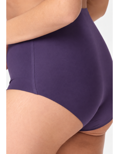 Lingadore 1400HWB-1 High waist brief- grape