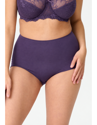 Lingadore 1400HWB-1 High waist brief- grape