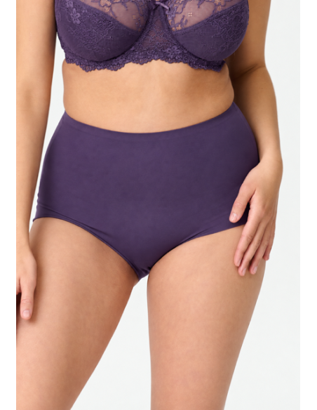 Lingadore 1400HWB-1 High waist brief- grape